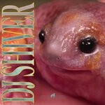 cover: DJ Shiver - DJ Shiver