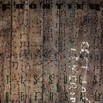 cover: Frontier - Tissues In Refusal