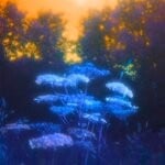cover: Ishmael Ensemble - Golden (Sunset Mix)