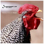 cover: Various - Peppermint Jam #BeatportDecade House