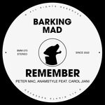 cover: AnAmStyle|Carol Jiani|Peter Mac - Remember