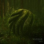 cover: Various - Muzique, Vol 5