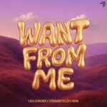 cover: Luca Schreiner|Ferdinand Feller|MVNA - Want From Me