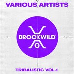 cover: Various - Tribalistic Vol 1
