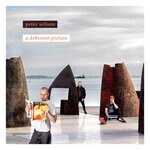 cover: Peter Wilson - A Different Picture