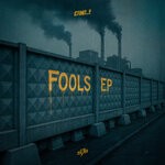 cover: DNL! - Fools