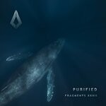 cover: Various - Purified Fragments XXXII
