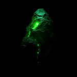 cover: Sangam - Open Wound