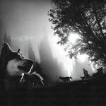 cover: Aamourocean - Thy Land EP