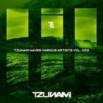 cover: Various - Tzunami Waves, Various Artists, Vol 3