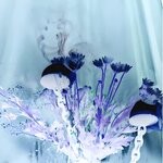 cover: chyaralaux - I Like To Watch My Incense Burn