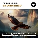 cover: DJKrissB - Storm Bird