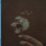 cover: The Band CAMINO - 12:34