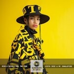 cover: SISTA IRIE|Junglefire - Rise & Shine