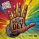 cover: Viking Ding Dong - Stay Right Dey