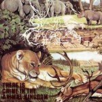 cover: The Skullchair - There Is Crime In The Animal Kingdom