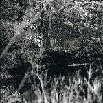 item 7105210