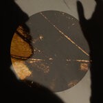item 7180380