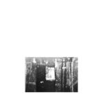 item 7217121
