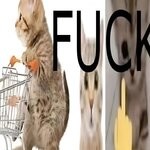 item 7232637