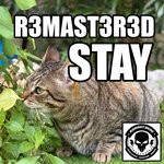 item 7241082