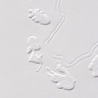 https://clone.nl/platen/artwork/gallery/25418/small/003.jpg