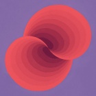 https://clone.nl/platen/artwork/gallery/79737/small/001.jpg