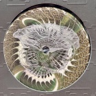 https://clone.nl/platen/artwork/gallery/79791/small/001.jpg