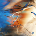https://clone.nl/platen/artwork/gallery/79810/small/001.jpg