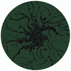 https://clone.nl/platen/artwork/gallery/79834/small/002.jpg