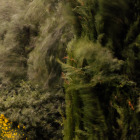 https://clone.nl/platen/artwork/gallery/80008/small/001.jpg