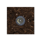 https://clone.nl/platen/artwork/gallery/80013/small/001.jpg