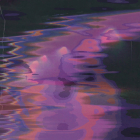 https://clone.nl/platen/artwork/gallery/80024/small/001.jpg