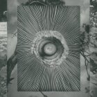https://clone.nl/platen/artwork/gallery/80108/small/001.jpg