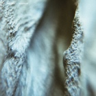 https://clone.nl/platen/artwork/gallery/80265/small/001.jpg