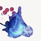 https://clone.nl/platen/artwork/gallery/80390/small/001.jpg