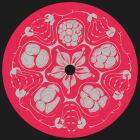 https://clone.nl/platen/artwork/gallery/80452/small/002.jpg