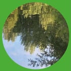 https://clone.nl/platen/artwork/gallery/80794/small/002.jpg