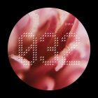 https://clone.nl/platen/artwork/gallery/80845/small/002.jpg