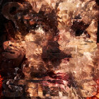 https://clone.nl/platen/artwork/gallery/81323/small/001.jpg