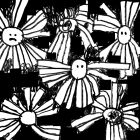 https://clone.nl/platen/artwork/gallery/81338/small/001.jpg