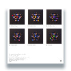 https://clone.nl/platen/artwork/gallery/81397/small/002.jpg