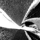 https://clone.nl/platen/artwork/gallery/81754/small/001.jpg