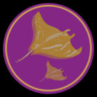 https://clone.nl/platen/artwork/gallery/81770/small/002.jpg