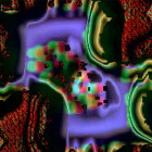 https://clone.nl/platen/artwork/gallery/81791/small/001.jpg