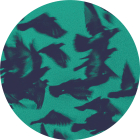https://clone.nl/platen/artwork/gallery/81872/small/001.jpg