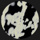 https://clone.nl/platen/artwork/gallery/81875/small/001.jpg