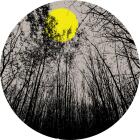 https://clone.nl/platen/artwork/gallery/82007/small/001.jpg