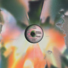 https://clone.nl/platen/artwork/gallery/82115/small/002.jpg