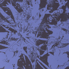 https://clone.nl/platen/artwork/gallery/82397/small/001.jpg